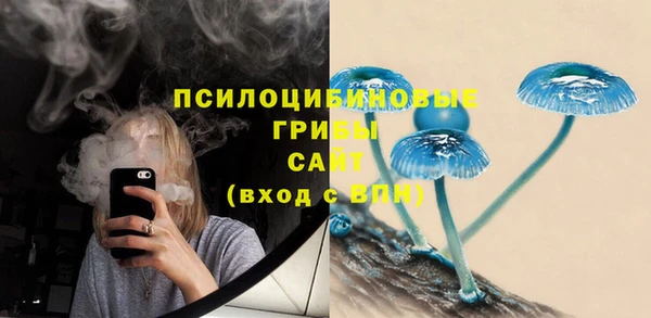 тгк Абинск