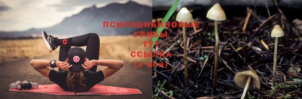 тгк Абинск