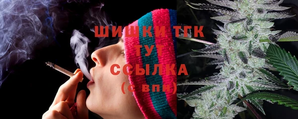 тгк Абинск