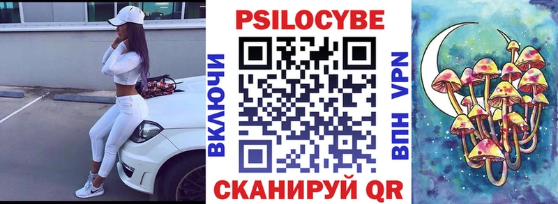 Псилоцибиновые грибы прущие грибы  Мамадыш 